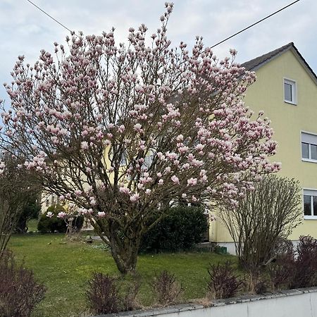 W&P Living Wohnung Mit Ausblick - Parkplatz Biberbach  Exterior photo