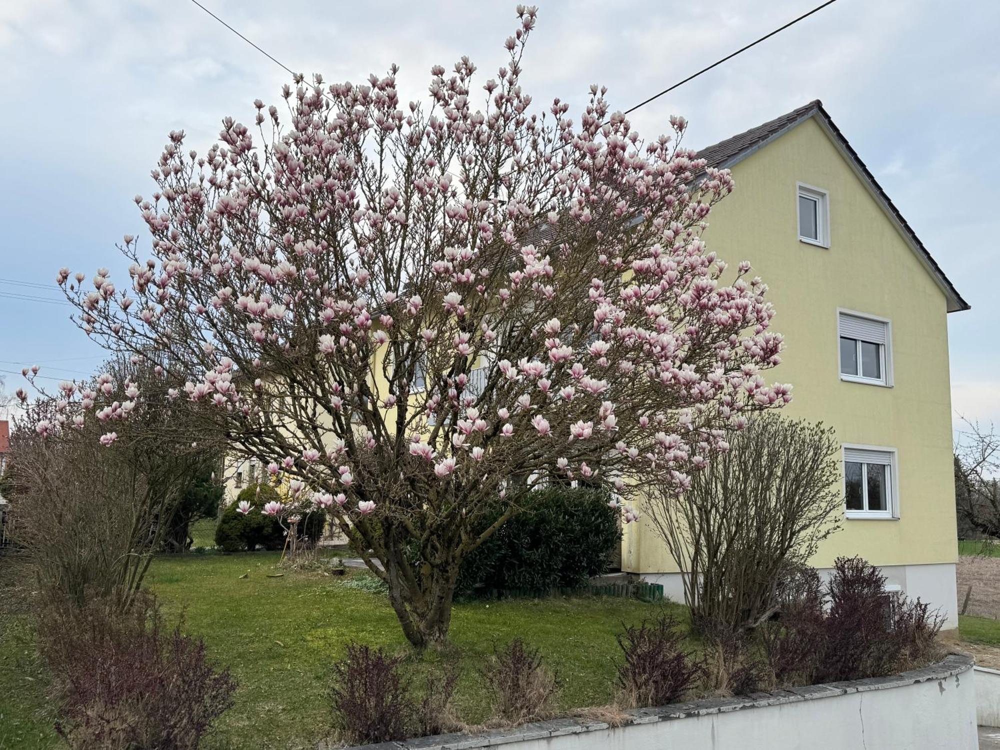 W&P Living Wohnung Mit Ausblick - Parkplatz Biberbach  Exterior photo
